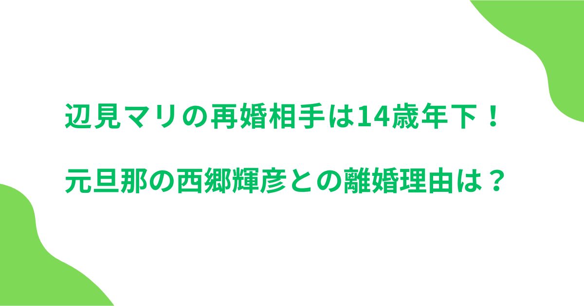 辺見マリの再婚相手は14歳年下！元旦那の西郷輝彦との離婚理由は？